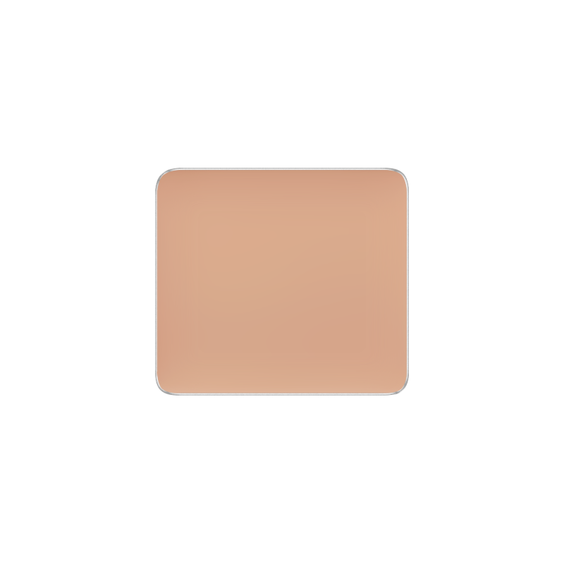 Freedom System Camouflage Concealer 110