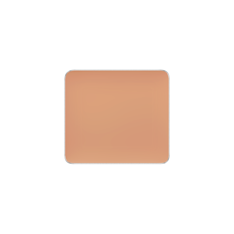 Freedom System Camouflage Concealer 111