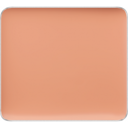 Freedom System Camouflage Concealer 103