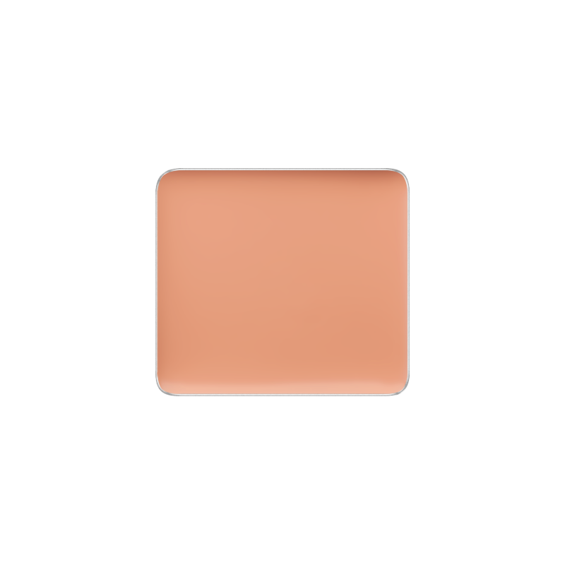 Freedom System Camouflage Concealer 103