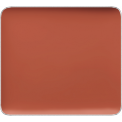 Freedom System Camouflage Concealer 105