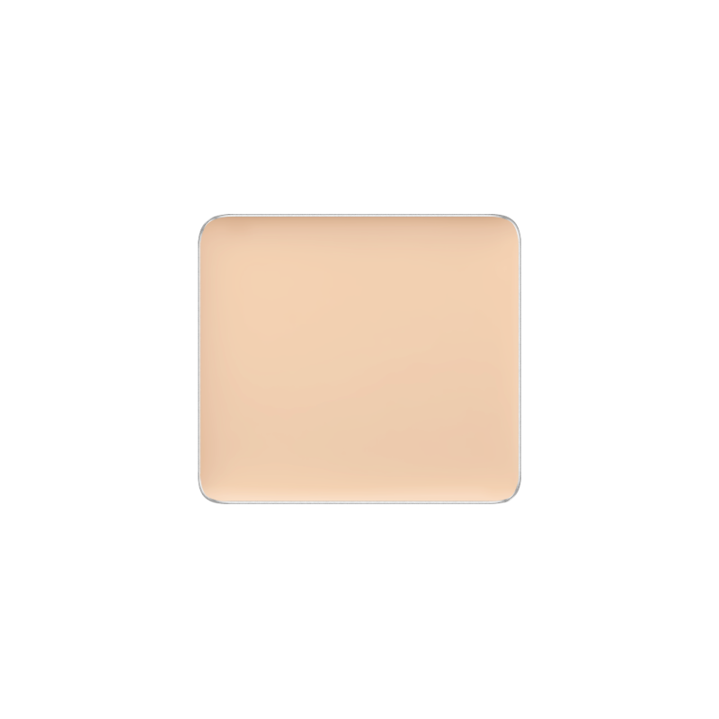 Freedom System Camouflage Concealer 106