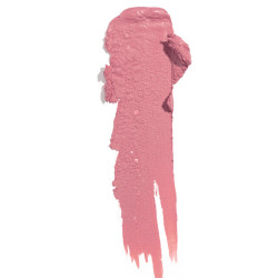 Traduzione Blush Stick 301