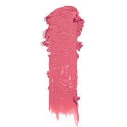 Traduzione Blush Stick 304